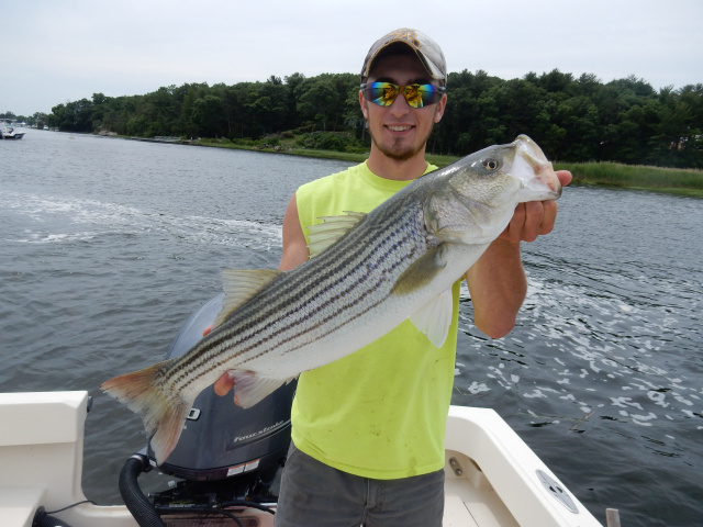 Nick's striper caught in Newburyport MA